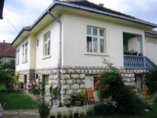 Apartments and rooms Villa Mačva - Banja Koviljača - Banja Koviljača - 6
