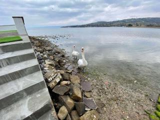 Villa Olga - Uniqe house with private beach - Ankaran - 7