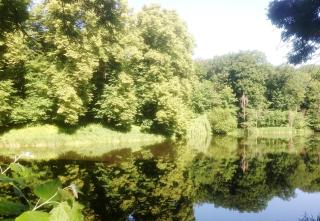 Carmina am See - Karnin-Stralsund - 3