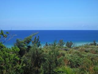 Private Vacation Villa Kohola - 2