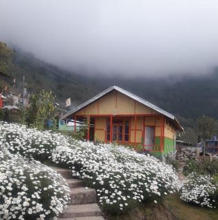 Vamoose Niru - Pedong - 8