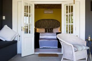 Olive Grove Pip - Prince Albert - 5