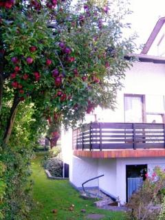 Ferienwohnung Keckl - Beilngries - 8
