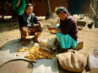 Kalimpong Village Retreat - Kalimpong - 1