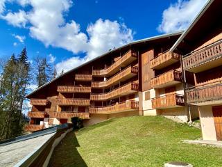 RANFOLLY 8 - Morzine - 2