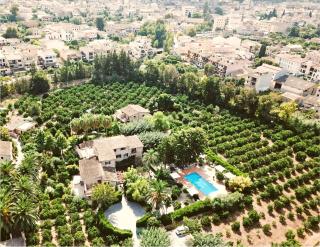 Finca Ca's Curial - Agroturismo - Adults Only - Sóller - 4