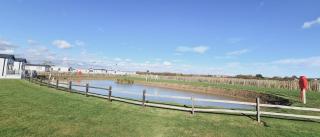 Golden Palm - Meadow Lakes - Chapel Saint Leonards - 6