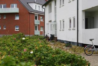 Haus Gräpel App 6 - 1