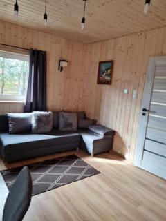 Domek nad stawem - Robakowo - 3