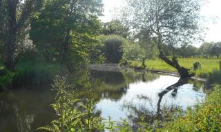 Riverview - Bohal - 6