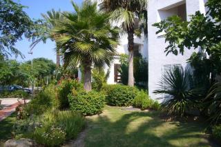 Apartamento en Playa del Infante (Costa Ballena) - Rota - 3