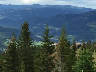 Ski and Bike-In and Out - Hafjell - 3