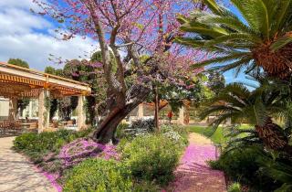 Hotel Boutique Mirlo Barcelona - Barcelona - 6