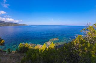 Residenza Le Tartarughe - Marina di Campo - 0