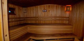 Luxury houses in Dobrinishte - Dobrinishte - 9