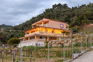 Tolis aparts - Pelekas - 4
