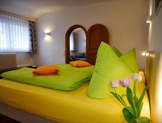 Wochner's Hotel-Sternen Am Schluchsee Hochschwarzwald - Schluchsee - 7