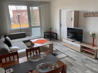 Apartmán ve Velkých Losinách - Velké Losiny - 0
