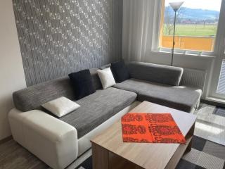 Apartmán ve Velkých Losinách - Velké Losiny - 6
