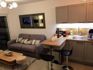 Moderne T2 avec garage ,très calme avec jardin privé et piscine, à 400m du centre ville et des plages, WIFI remise supplémentaire de 10 pourcent pour une location à la semaine - Cavalaire-sur-Mer - 1