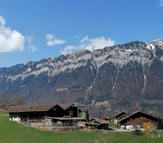Brunners harzerhof - Iseltwald - 0