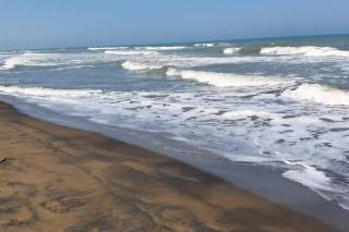 Casa de las Flores - 4