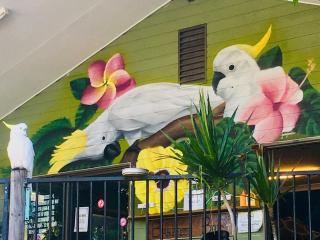 Backpackers By The Bay - Airlie Beach - 3