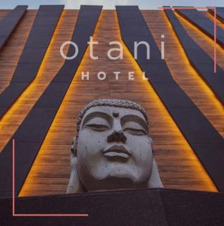 Otani Hotel Boutique - León - 3