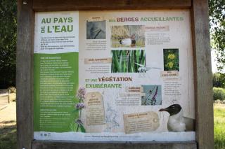 Chambre d hote La Roussiere - Saint-Ouen-des-Toits - 3