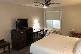 HOM Hotel Gainesville, SureStay Collection by Best Western - Gainesville - 5