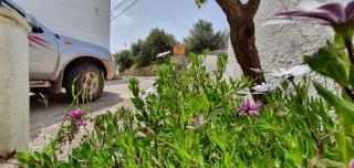 Ailamakis Apartements - 5