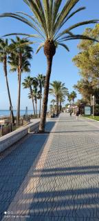 Nueva Marbella - Marbella - 3