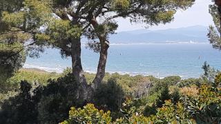 BASTIDE PRESQU ILE DE GIENS SUPERBE VUE MER PISCINE - Hyères - 7