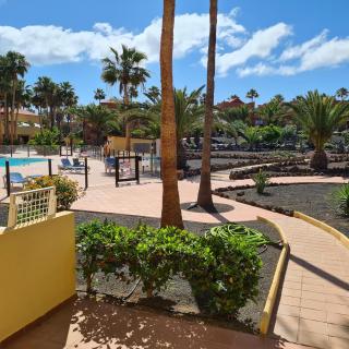 Oasis Royal F217 - Corralejo - 8