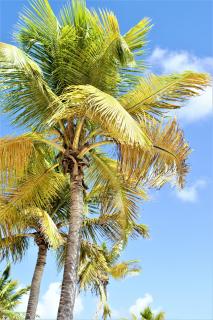 Les gîtes de Bunel - Les Abymes - 1