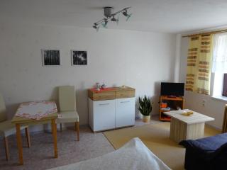 Erzgebirgsdomizil am Schwartenberg - Neuhausen - 7