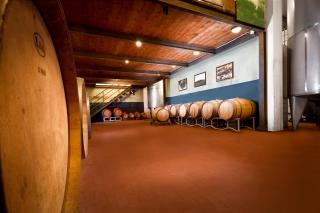 Tenuta San Vito In Fior Di Selva - Montelupo Fiorentino - 5