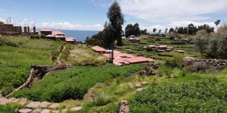 Taquile Hospedaje Mario - Huillanopampa - 7
