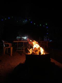 אוהל הזית - 5