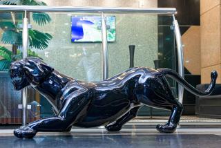 Rede Andrade Amazônia - 5