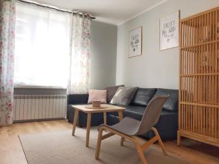 Pastelove mieszkanie przy centrum - bezkontaktowo - Bielsko-Biała - 0