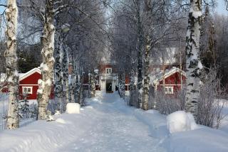Svanstein Lodge - Svanstein - 9