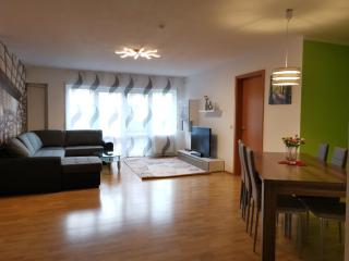 Gute Laune mit Terrasse und Garten zentral - Friedrichshafen - 9