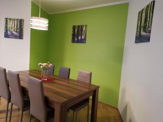 Gute Laune mit Terrasse und Garten zentral - Friedrichshafen - 6