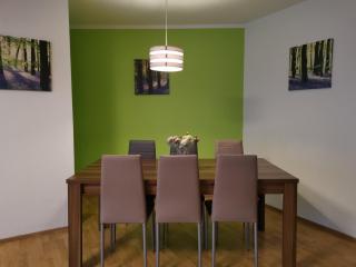 Gute Laune mit Terrasse und Garten zentral - Friedrichshafen - 7