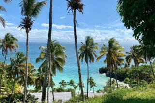 Apartamento Condominio Vista Mare Samana - Santa Bárbara de Samaná - 8