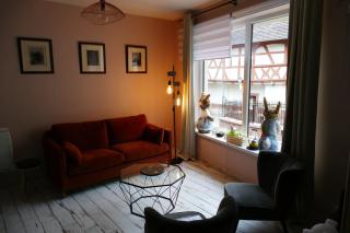 Le gîte des sources: nature, randonnées, détente. - Oberbronn - 9