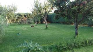 Al dolce dormire - 3
