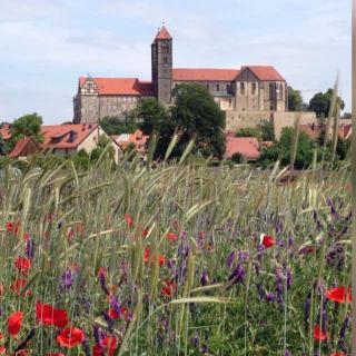 Afbeelding van de locatie