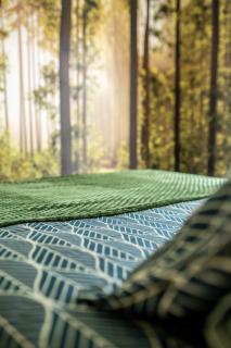 Les Balcons De La Haie Griselle gîte 4/pers - Gérardmer - 3